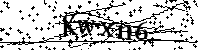 请输入以下文字及数字