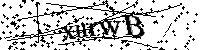 请输入以下文字及数字