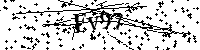 请输入以下文字及数字
