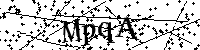 请输入以下文字及数字