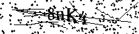 请输入以下文字及数字