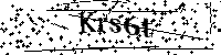 请输入以下文字及数字