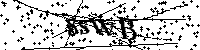 请输入以下文字及数字