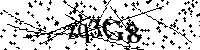 请输入以下文字及数字