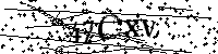 请输入以下文字及数字