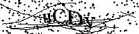 请输入以下文字及数字