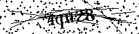 请输入以下文字及数字