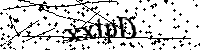 请输入以下文字及数字