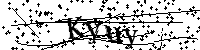 请输入以下文字及数字