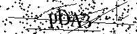 请输入以下文字及数字