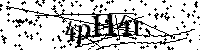 请输入以下文字及数字