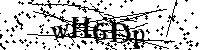 请输入以下文字及数字