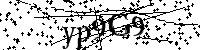 请输入以下文字及数字