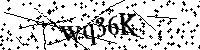 请输入以下文字及数字