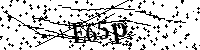请输入以下文字及数字