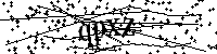 请输入以下文字及数字