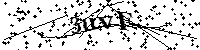 请输入以下文字及数字