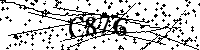 请输入以下文字及数字