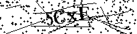 请输入以下文字及数字