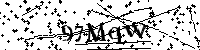 请输入以下文字及数字