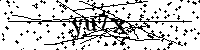 请输入以下文字及数字