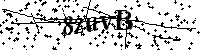 请输入以下文字及数字