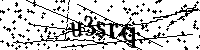 请输入以下文字及数字