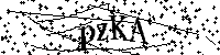 请输入以下文字及数字