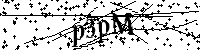 请输入以下文字及数字