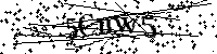 请输入以下文字及数字