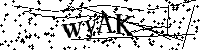 请输入以下文字及数字