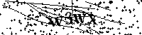 请输入以下文字及数字