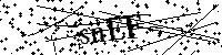 请输入以下文字及数字