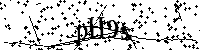 请输入以下文字及数字