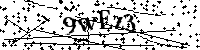 请输入以下文字及数字