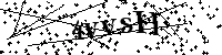 请输入以下文字及数字