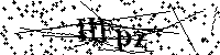 请输入以下文字及数字