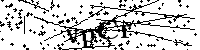 请输入以下文字及数字