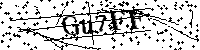 请输入以下文字及数字