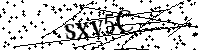 请输入以下文字及数字