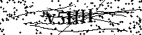 请输入以下文字及数字
