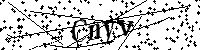 请输入以下文字及数字