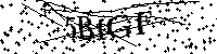 请输入以下文字及数字