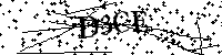 请输入以下文字及数字