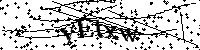 请输入以下文字及数字
