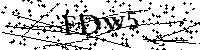 请输入以下文字及数字