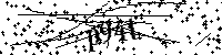请输入以下文字及数字