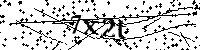 请输入以下文字及数字