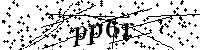 请输入以下文字及数字