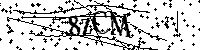 請輸入以下文字及數字
